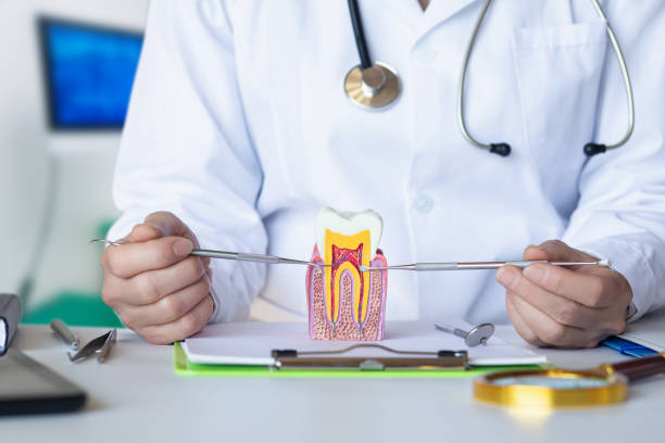Best Emergency Dental Services for Seniors in Columbus, GA